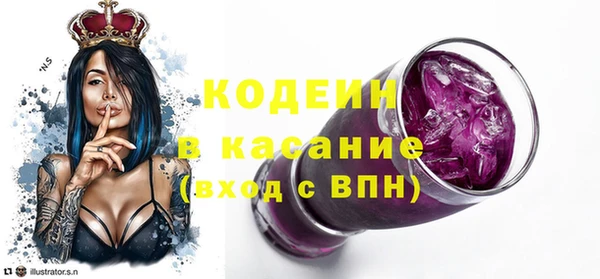 гидра Инта