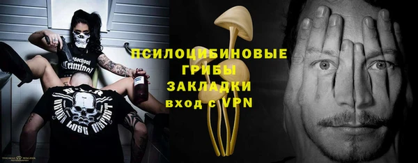 гидра Инта