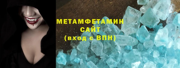 гидра Инта