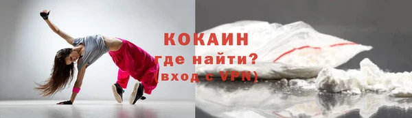 гидра Инта
