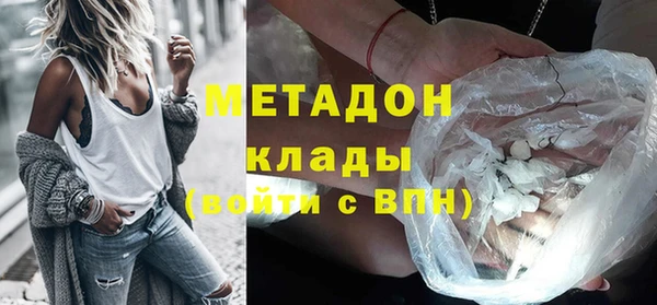 гидра Инта