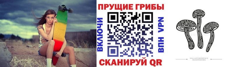 Псилоцибиновые грибы Magic Shrooms  Купить где  Болхов 